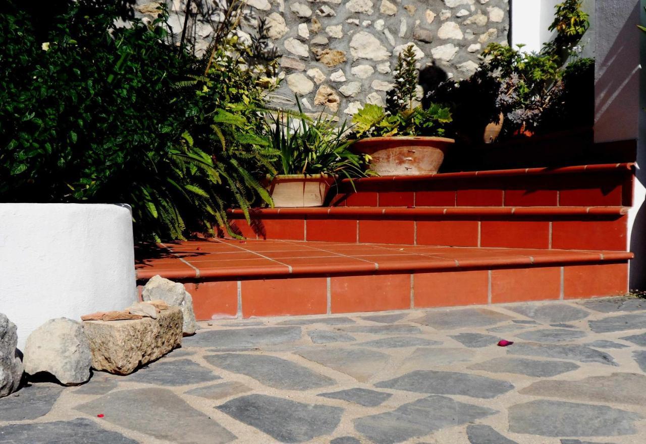 Charming House Ideal For Couples And Young Familie Tárbena エクステリア 写真