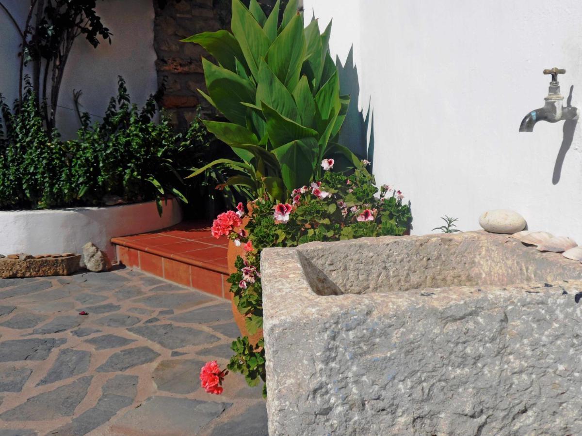 Charming House Ideal For Couples And Young Familie Tárbena エクステリア 写真